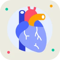 Cardiovascular System